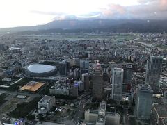-欣叶食艺轩