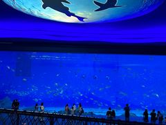 -上海海昌海洋公园