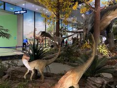 -湖南省地质博物馆