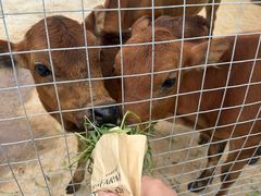 -军山湖云水间生态农业旅游景区