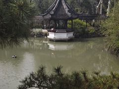 -上海醉白池公园