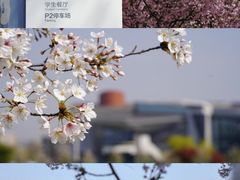 -南京医科大学(江宁校区)
