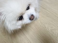 -缘赵记(沙子口店)