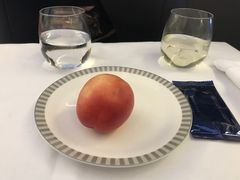 -新加坡航空公司(ION)