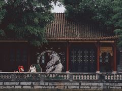 -顺峰山公园