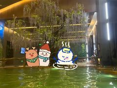 -长白山聚龙火山温泉