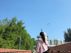 -宝安西湾红树林湿地公园