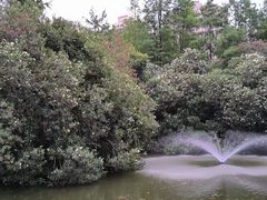 -黄兴公园