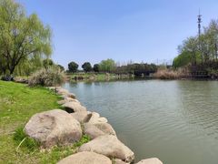 -九里河湿地公园
