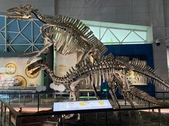 -湖南省地质博物馆