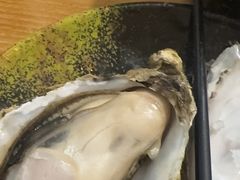 -海派美食·家宴海鲜青岛菜·石锅鲽鱼头(东方城店)
