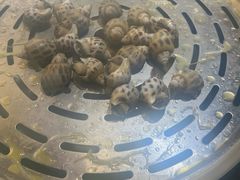 -阿鸡鱼庄·顺德鲜蒸小炒(亚运村店)