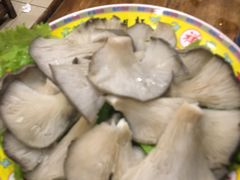 -芦月轩羊蝎子(北蜂窝店)