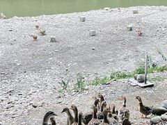 -海窝子古镇