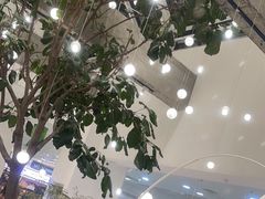 -大树餐厅(红旗街万达店)