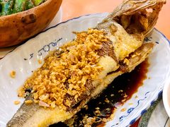 -雅苑餐厅(朝天路店)