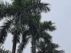 -广州市白云山风景名胜区