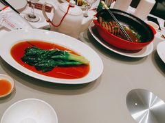 -红城阁·上海味道(四平路店)