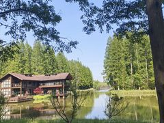 -黄海国家森林公园