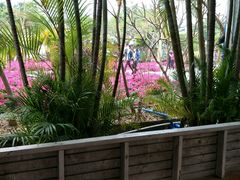 -广东花都香草世界旅游度假区