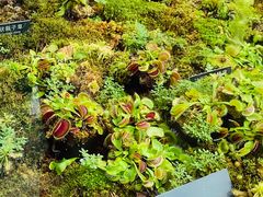 -国家植物园南园