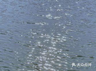 寒冷冬日也要去公园郊游~  自驾去松江月湖雕塑公园