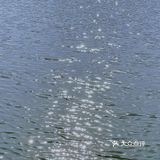 浪漫的冬日郊游地