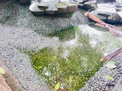 -成都市活水公园