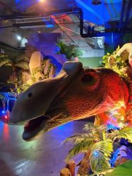 点击看大图 -恐龙探索乐园(磁器口店)