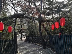 -红螺寺