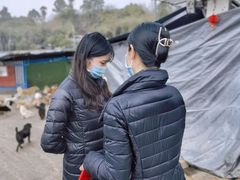 -成都爱之家动物救助中心