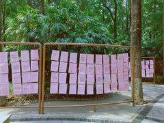 -人民公园-相亲角