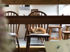 -知亘茶食