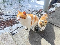 -华山风景名胜区