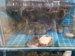 -宾朋海鲜特色美食餐厅·纯手工鲅鱼水饺(兴海路店)