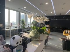 -马泷齿科·成都锦江置略马泷口腔门诊部(IFS国金中心店)