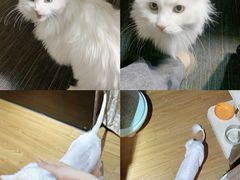 -肯德基(学院路店)