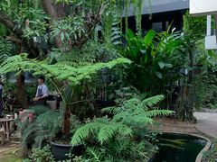 -Fern Forest Cafe