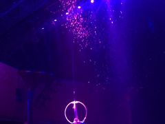 -珠海横琴长隆《卡卡虎奇遇记》