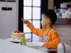 -咖咖熊蛋糕定制·蓝风车动物奶油