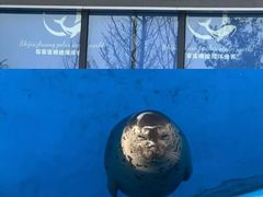 -石家庄极地海洋世界