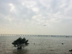 -宝安西湾红树林湿地公园