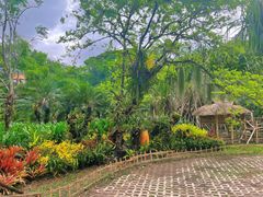 -中国科学院西双版纳热带植物园