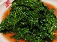 -泰煌鸡·上海白斩鸡·沪菜(平利店)