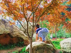 -广州市帽峰山景区