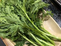 野生茼蒿-蜀大侠火锅(寰球文化地标·总府店)