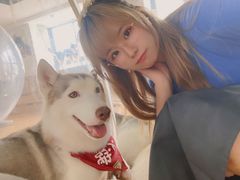 -Husky Go! 哈士奇体验馆·宠物咖啡厅狗咖