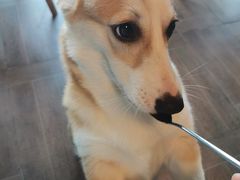 -暗黑魔法·玄灵未妖阁·塔罗·占星·心理咨询