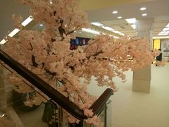 -汤里来温泉