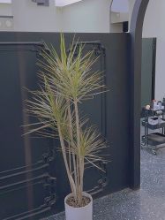 -Hair Co.一间沙龙